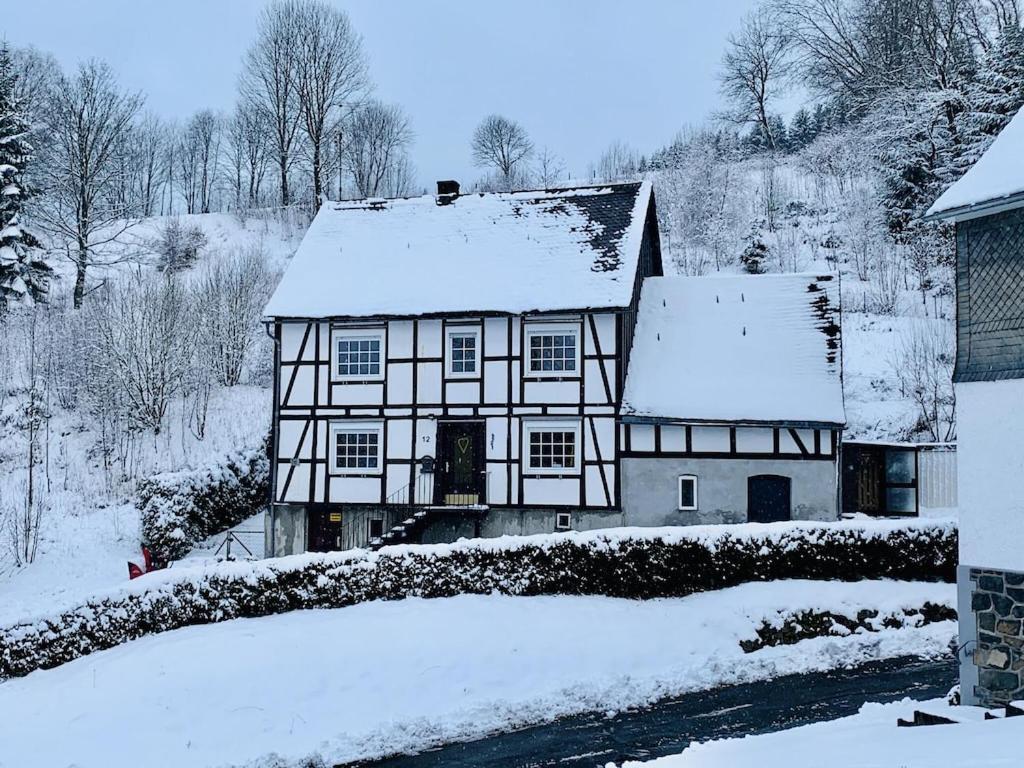 Haus Ruhrquelle With Terrace&garage Near Ferienhaus