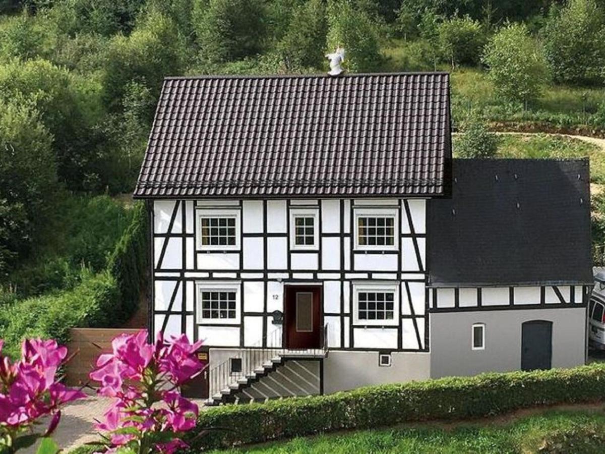 Haus Ruhrquelle With Terrace&garage Near Winterberg